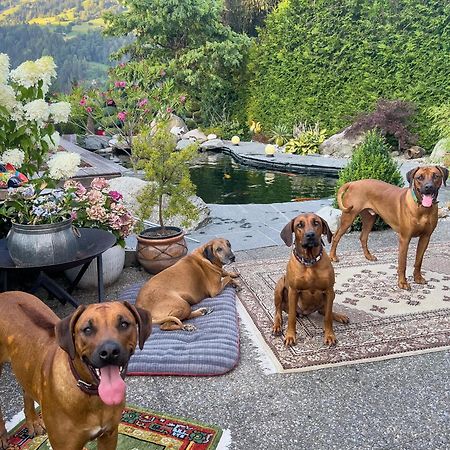 Ferienwohnung Waltensburg Breíl المظهر الخارجي الصورة